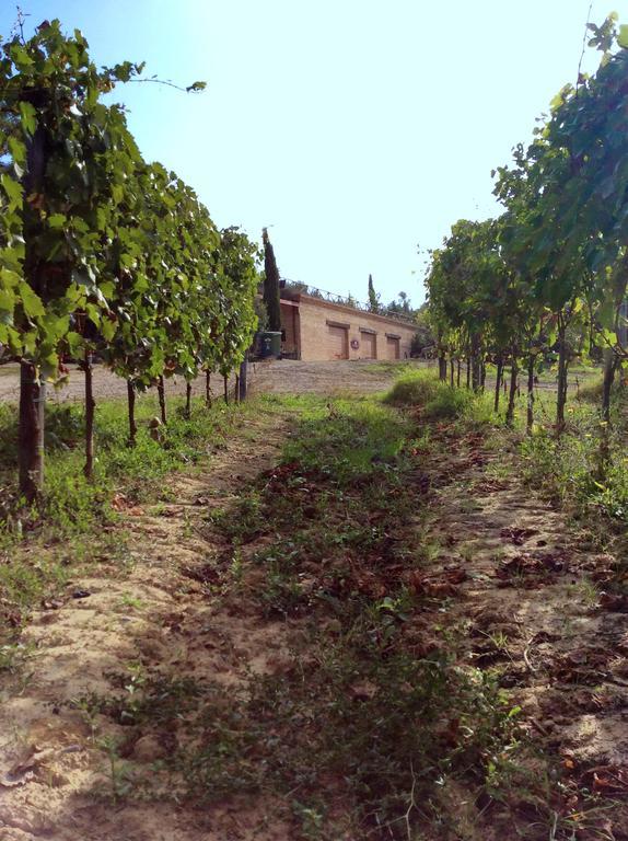 Agriturismo San Gallo Montepulciano Stazione Exterior foto